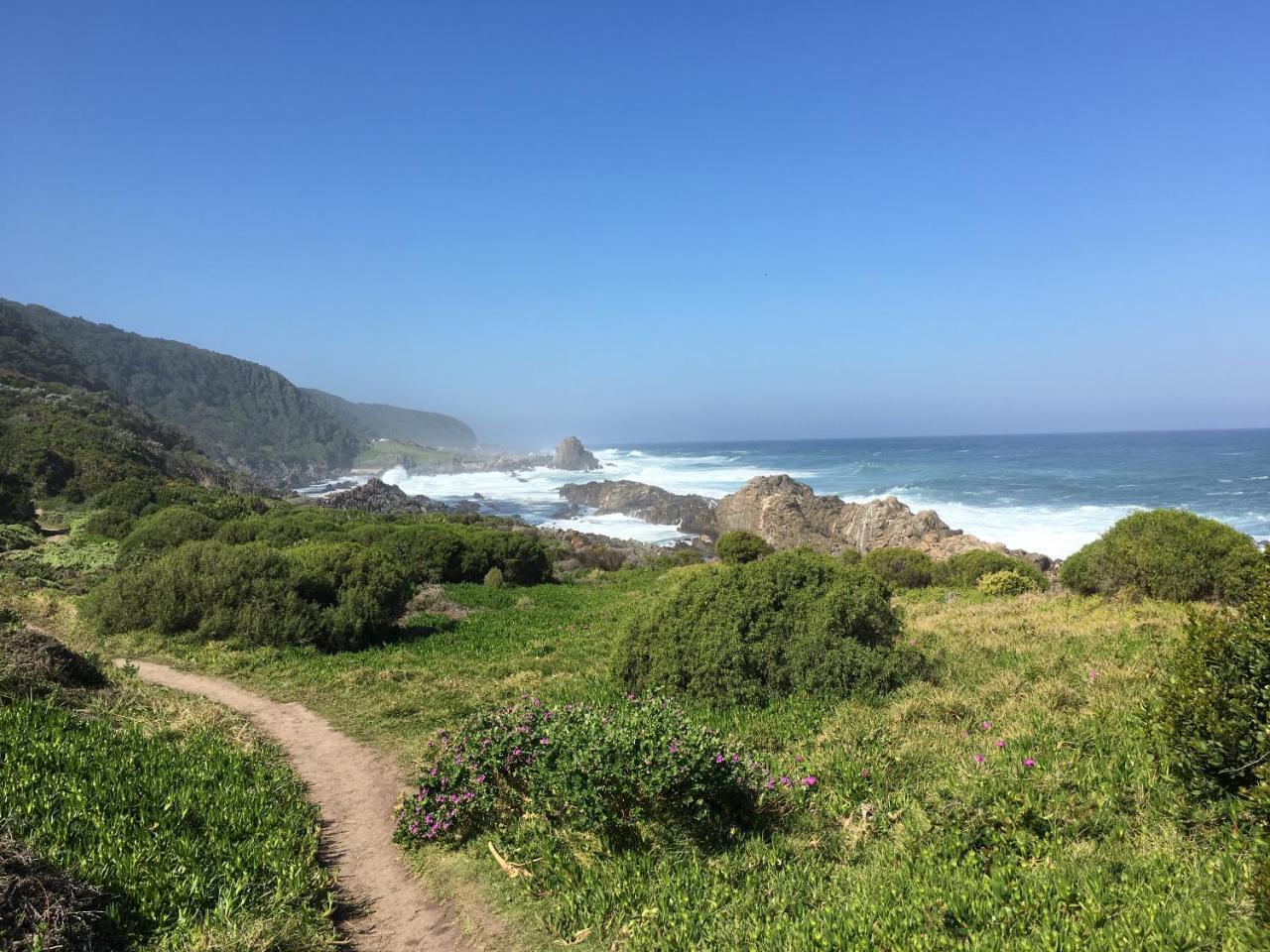 Storms River Guest Lodge ستورمزريفير المظهر الخارجي الصورة